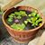 Jardines Acuáticos Miguel Castillo's profile image