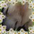 Rebecca Matthews's profile image
