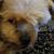Piske Posse's profile image