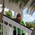 Lisa Tedrick Elliott's profile image
