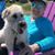 Judy Whiting's profile image
