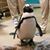 David Miriam Bohenkamp's profile image