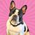 Danielle Silverstein's profile image
