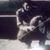 Jesse Ortiz's profile image