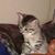 Kathy Lindsey's profile image