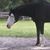 Teresa Pelton's profile image