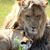 Phil DuRall's profile image