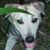 Sandra Riegg's profile image