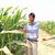 Asim Iqbal's profile image