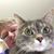 Chris Pahssen-Noble's profile image