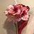 Svet Lana's profile image