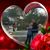 Connie Rekau's profile image