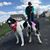 Janet Higgins's profile image