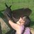 Gale A. Sheets's profile image