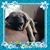 Cindy Berg's profile image