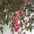Margaret Smith's profile image