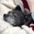 Maria Gaynor's profile image