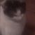 Mat Ash's profile image