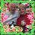 Betty Lang Zupan's profile image