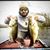 Travis Davis's profile image