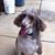 Sally Tomlinson's profile image