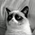 Pengusung Keranda's profile image