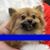 Kathy Crawford's profile image