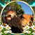 Teresa Jonsson's profile image