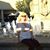 Michelle Thompson's profile image