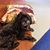 Barbara Lynn DeVuono's profile image