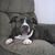 Hilda Vega Mojica's profile image