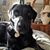 Christina Cichy Russell's profile image