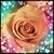 Jennifer Vonasek-Ditzel's profile image
