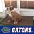 Lisa Georgi's profile image
