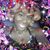Antonia Alston's profile image