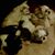 Linda Sue Anderson Bramlett's profile image