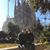 Sarah Hesbacker's profile image
