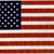 Shelley Stephens's profile image