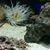 Cathie Nunez's profile image