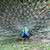 Cindy Usry Mason's profile image
