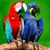 Sandra Wallace's profile image