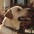 Chad Miller's profile image
