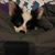 Brenda Andreasen Bushong's profile image