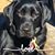 Sheri Kaminsky Baker's profile image