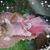 Mary Ann Park's profile image