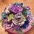 Sylvia Smith's profile image