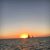 Julie Rodenbeck's profile image