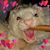 Jenn Solberg's profile image