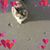 Joan Jones's profile image