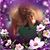 Debra Sturgill's profile image